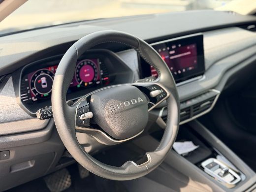 Škoda Octavia 1.5 TSI Elite fotoğraf 13